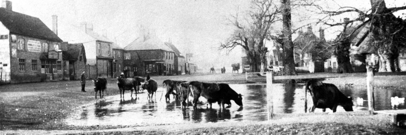 The Cock Pond c. 1880s