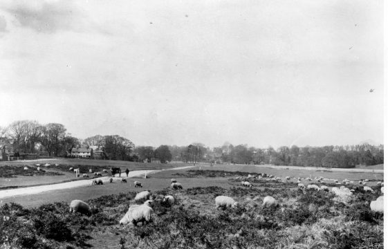 An overview of Harpenden's History