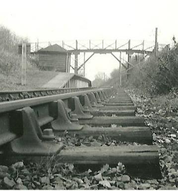 The old wooden footbridge and Roundwood Halt | John Wyborn, c.1948